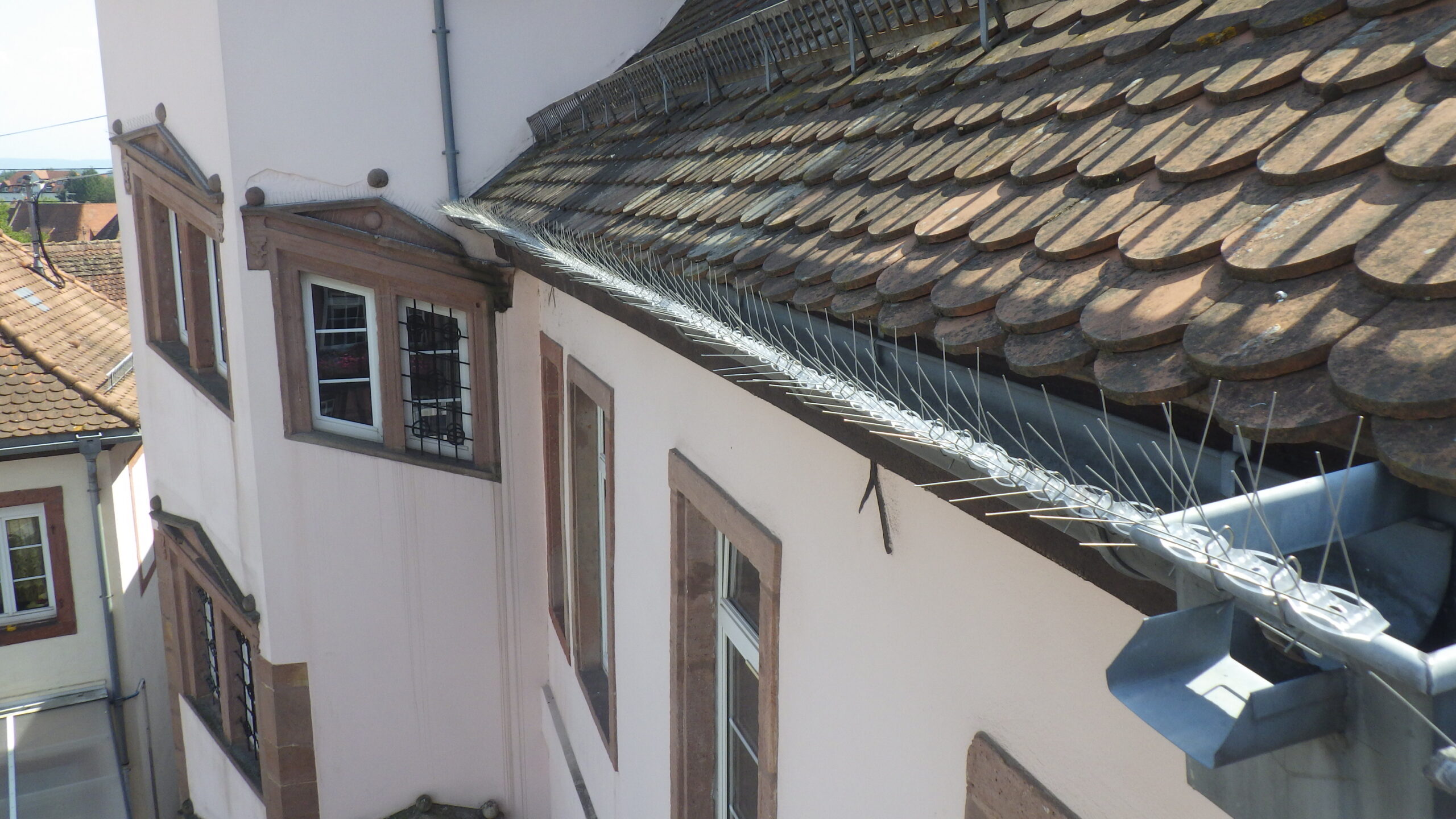 Toiture en tuiles avec installation de pics anti-pigeons réalisée par VIT Toitures